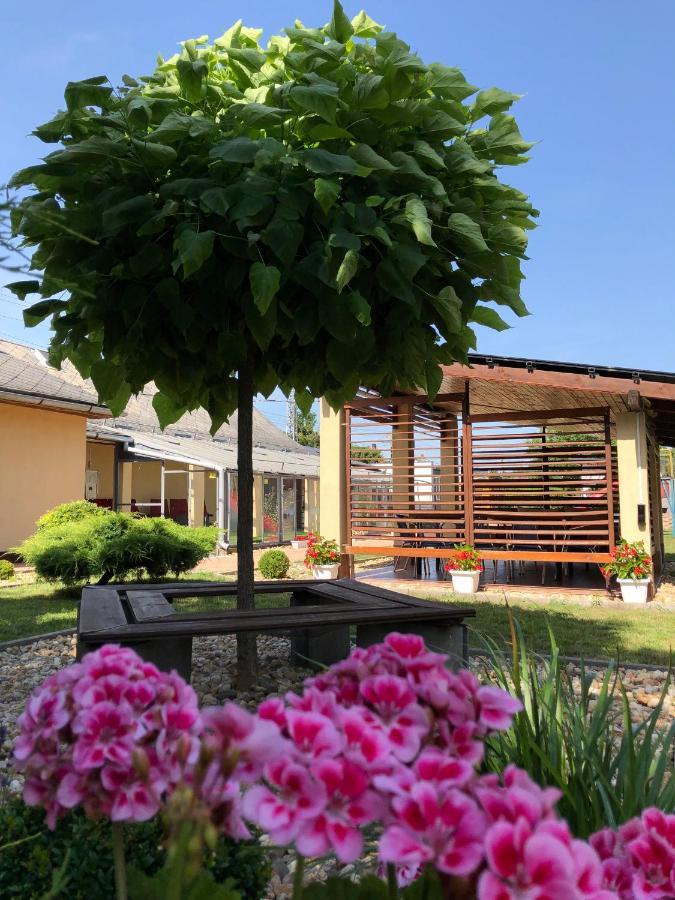 Green Corner Wellness Püspökladány Eksteriør billede